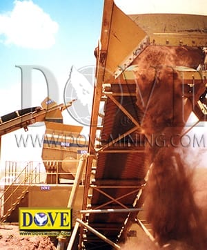 DOVE dry plant Dry plant